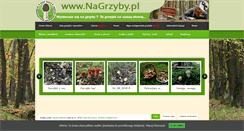 Desktop Screenshot of nagrzyby.pl
