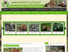Tablet Screenshot of nagrzyby.pl